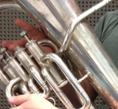 Baritonles volwassenen